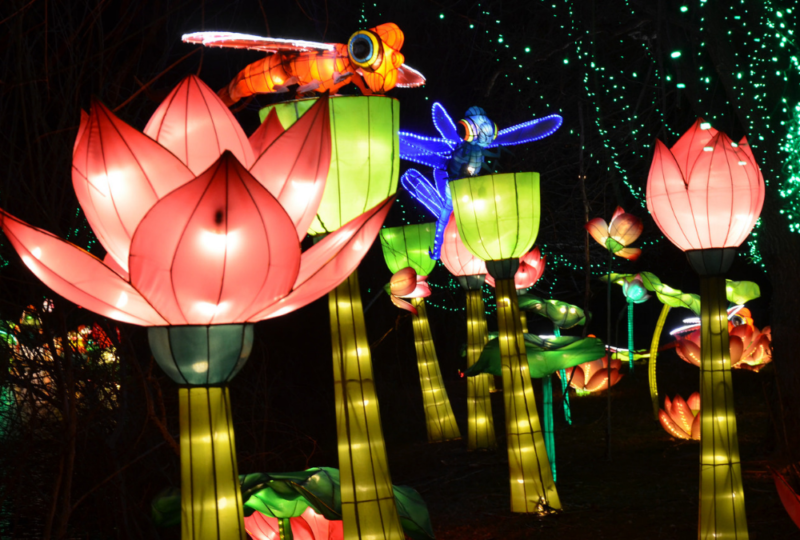 Estetika Lampion Taman Untuk Cerahkan Hari Anda yang Gelap